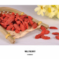 Bagas de goji frescas de goji secas orgânicas certificadas chinesas